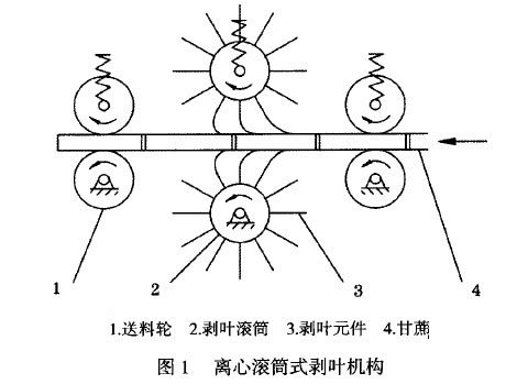 圖1 離心滾筒式剝?nèi)~機構(gòu)